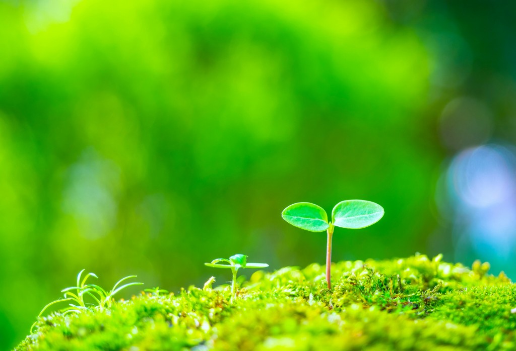 土地を探します